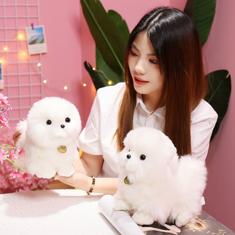 23cm Lifelike Pompom Dog Plush Toy Simulation Stuffed Animal Fluffy Dog Soft Doll Kids Toys Birthday Christmas Gift for Kids - TIKIJTRONICS 0 SPECIFICATIONSType: Plush/Nano DollTheme: TV & Movie CharacterRecommend Age: 12+y,18+,14+yOrigin: Mainland ChinaMaterial: PlushItem Type: AnimalsGender: UnisexForm: GeniusFilling: PP CottonFeatures: Stuffed & PlushCertification: CECN: JiangsuBrand Name: GDzacclyAnimals: unicorn TIKIJTRONICS  (Store description)