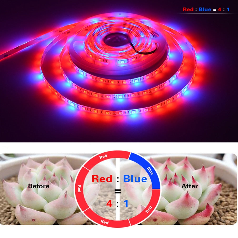 5V 12V 220V  LED Grow Light Full Spectrum waterproof LED Strip 5050 60LEDs Phyto Lamps For Greenhouse Hydroponic Plant Growing - TIKIJTRONICS # 0