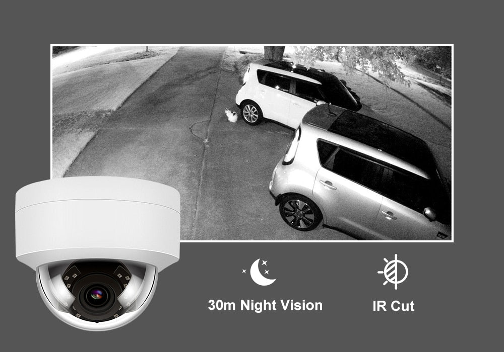 Anpviz 5MP IP Camera Outdoor POE Dome Security Protection Built-in Microphone IP66 IR 30m CCTV Video Camera H.265 Danale APP P2P - TIKIJTRONICS # 0