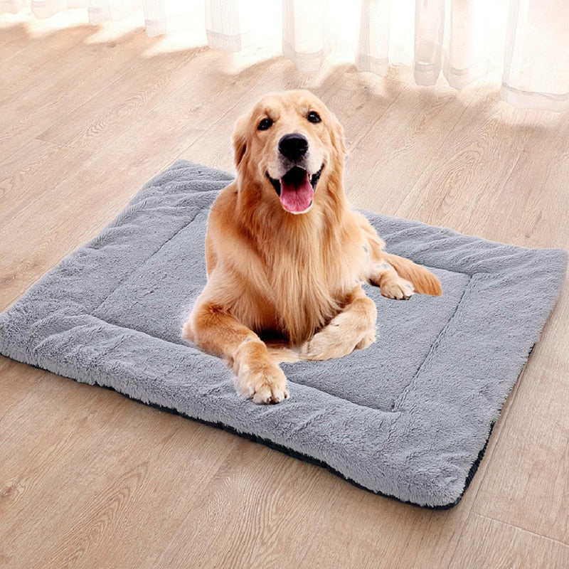 Dog Blanket Home Pet Blanket Mat Dogs Cats Bed Cushions Big Dogs Cat Mat Soft Cushion Warm Quilt Cotton Bed New - TIKIJTRONICS 0 SPECIFICATIONSWash Style: Mechanical WashType: DogsPattern: SolidOrigin: Mainland ChinaMaterial: CorduroyItem Type: Bed MatsFeature: Breathable TIKIJTRONICS  (Store description)