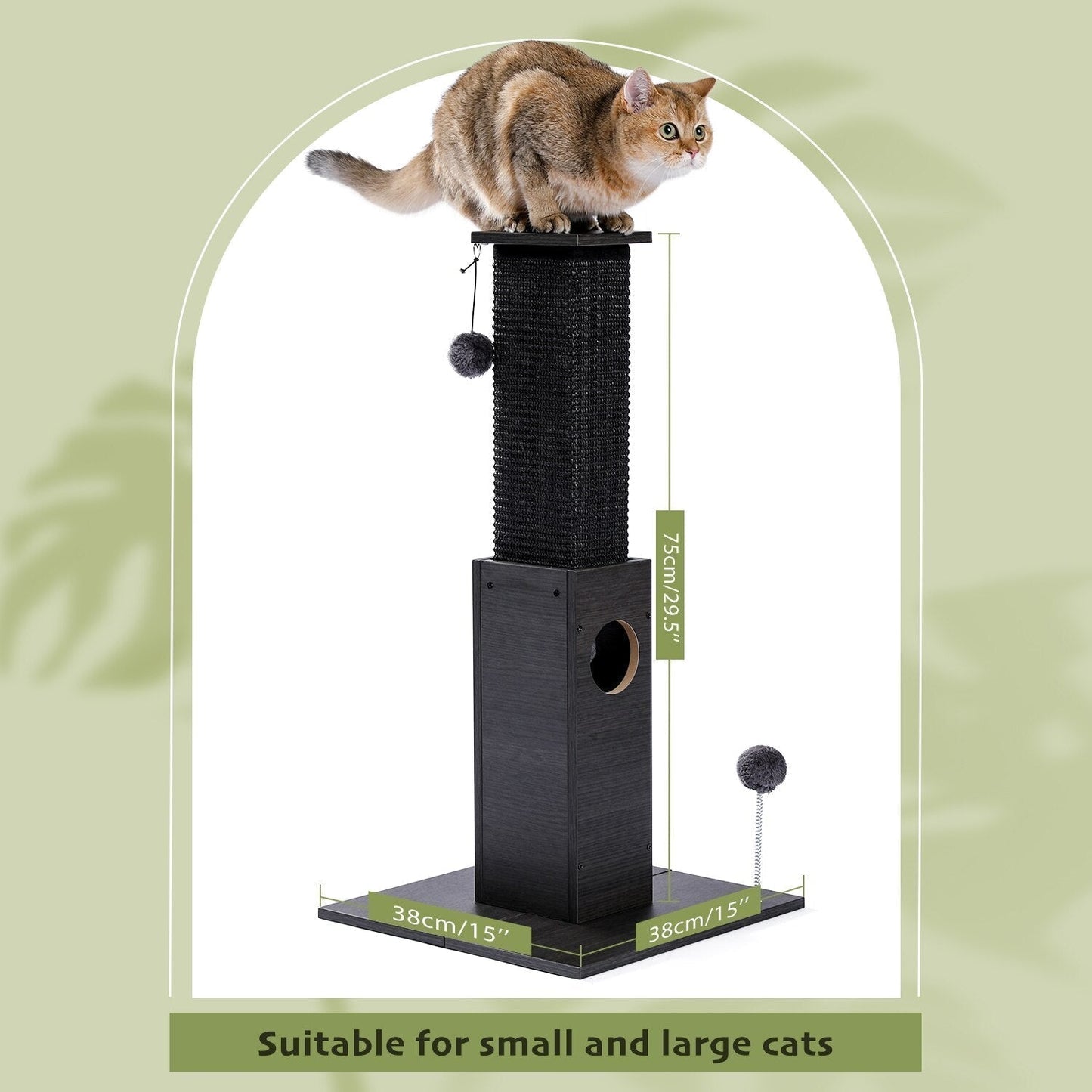 H82CM Fast Delivery Pet Cat Tree House Scratcher For Kitten Scratching Pad Mat Cats Training Toy Sisal Scratching Post With Ball - TIKIJTRONICS 0 SPECIFICATIONSWeight: 6.6KGType: catsOrigin: Mainland ChinaNo. of Tiers: DOUBLEModel Number: WJ0275/AMT0044Material: WoodKinds: gatos productos para mascotasItem Type: Scratching PostsFeature: sisal scratching post;ball toys for kittensColor: BlackCN: ZhejiangBrand Name: PAWZ Road TIKIJTRONICS  (Store description)