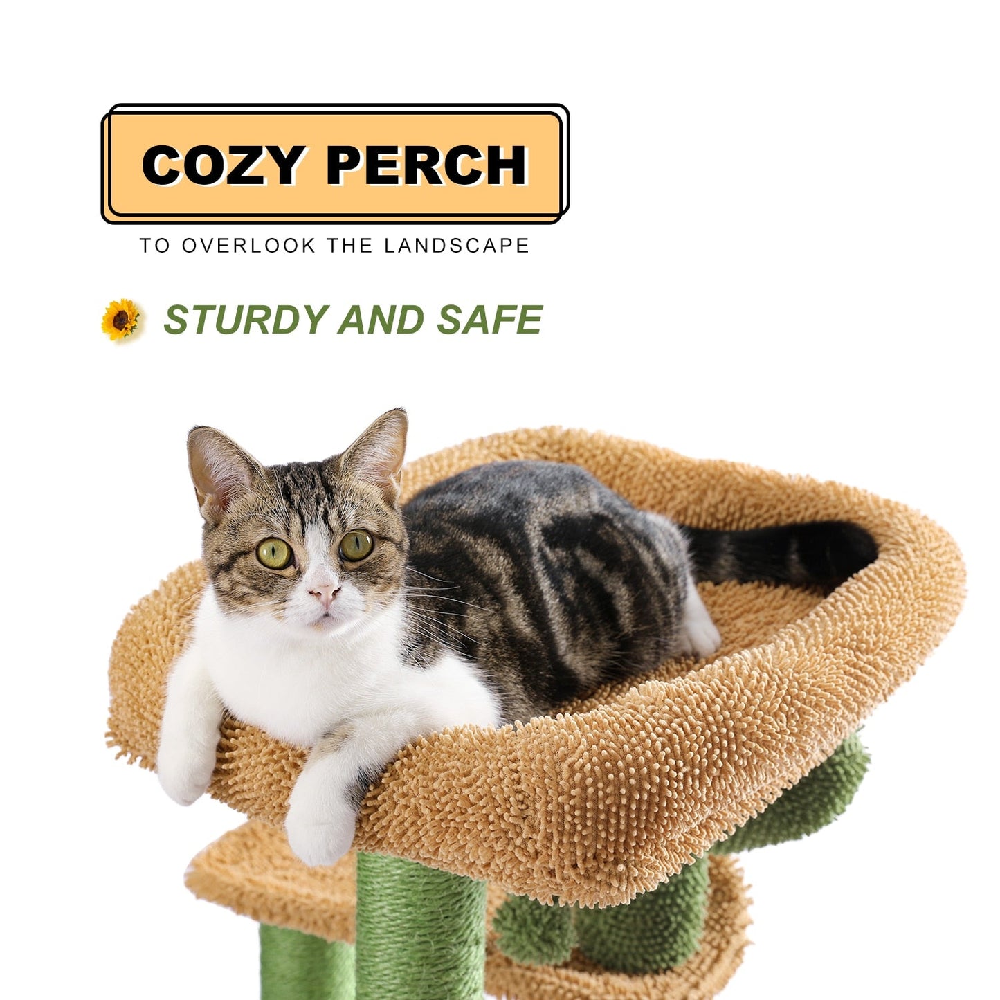 H90.5CM Cactus Cat Tree with Natural Sisal Scratching Post Board for Cat Perch Condo Kitty Play House rascador gato arbre à chat - TIKIJTRONICS 0 SPECIFICATIONSWeight:: 9kgType: catsShap: Cactus HouseSKU: AMT0128SC/AMT0133/AMT0141Origin: Mainland ChinaNo. of Tiers: Three-LayerMaterial: WoodItem Type: cat treesHeight: 90.5cm/83.5cmColor: Green+BrownCN: ZhejiangBrand Name: PAWZ Road TIKIJTRONICS  (Store description)