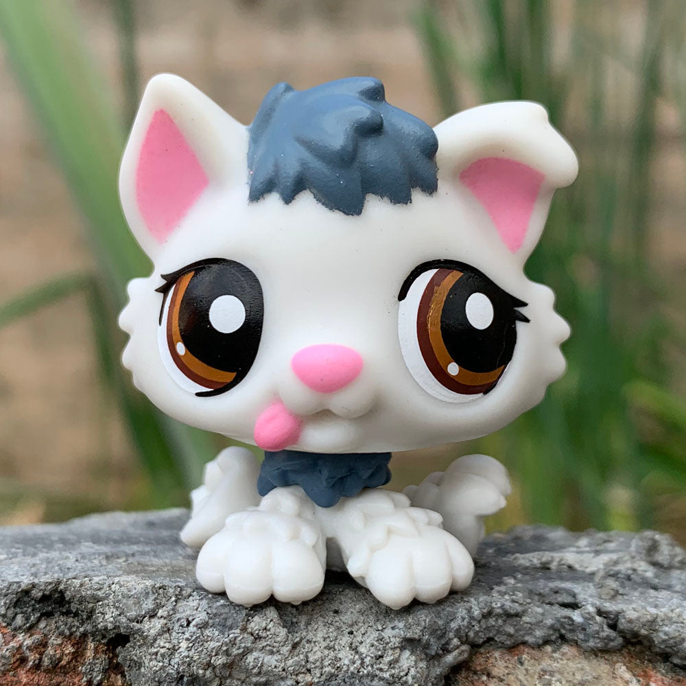 LPS CAT Rare Littlest pet shop Toys Stands Short Hair Cat Original Kitten Husky Puppy Dog Fox Cute Animal Old Bobble head toys - TIKIJTRONICS # 0