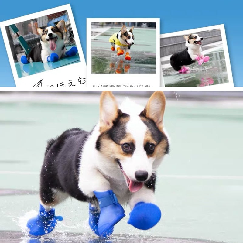 Pet Dog Rainshoes Waterproof Silicone Dog Shoes Anti-skid Boots For Small Medium Large Dogs Cats Rainy Days Appear Pet Supplies - TIKIJTRONICS 0 SPECIFICATIONSType: DogsSet Type: YESOrigin: Mainland ChinaMaterial: Plastic TIKIJTRONICS  (Store description)