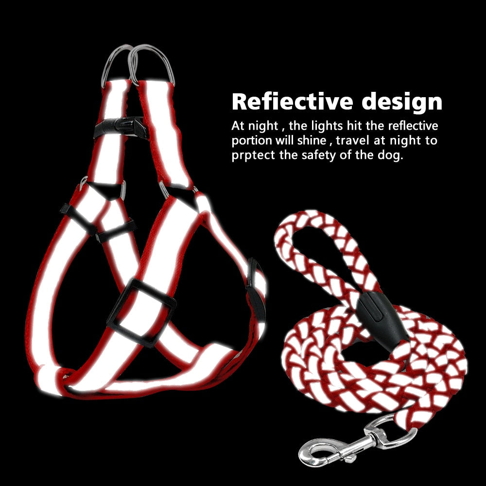 Small Dog Harness and Leash Set Reflective Nylon Adjustable Small Dog Harness Leads Rope Set for Small Medium Dog Red Black Blue - TIKIJTRONICS # 0