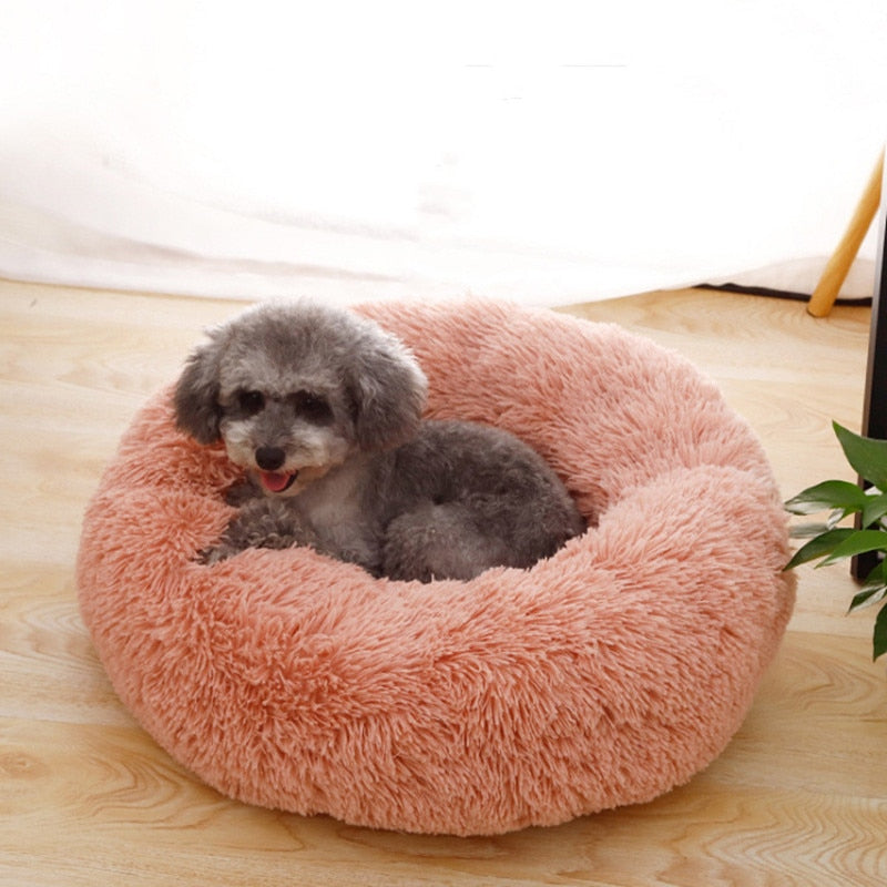 Super Soft Dog Bed Plush Cat Mat Dog Beds For Large Dogs Bed Labradors House Round Cushion Pet Product AccessoriesDog Cat House - TIKIJTRONICS 0 SPECIFICATIONSWash Style: Hand WashType: DogsPattern: SolidOrigin: Mainland ChinaMaterial:: Coral FleeceMaterial: Coral FleeceItem Type: Beds & SofasIs Smart Device: noFeature: BreathableBed for:: Dogs / Cats TIKIJTRONICS  (Store description)