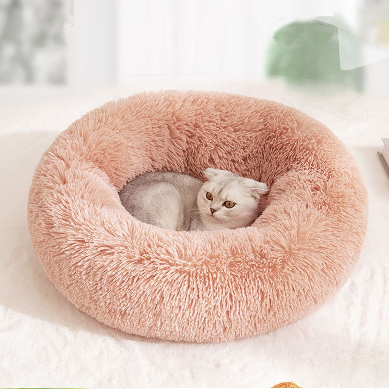 Super Soft Dog Bed Plush Cat Mat Dog Beds For Large Dogs Bed Labradors House Round Cushion Pet Product AccessoriesDog Cat House - TIKIJTRONICS 0 SPECIFICATIONSWash Style: Hand WashType: DogsPattern: SolidOrigin: Mainland ChinaMaterial:: Coral FleeceMaterial: Coral FleeceItem Type: Beds & SofasIs Smart Device: noFeature: BreathableBed for:: Dogs / Cats TIKIJTRONICS  (Store description)